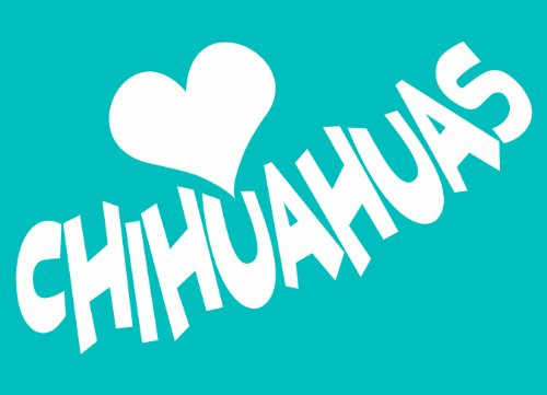 Imagine This Car Window Decal, Heart Chihuahuas