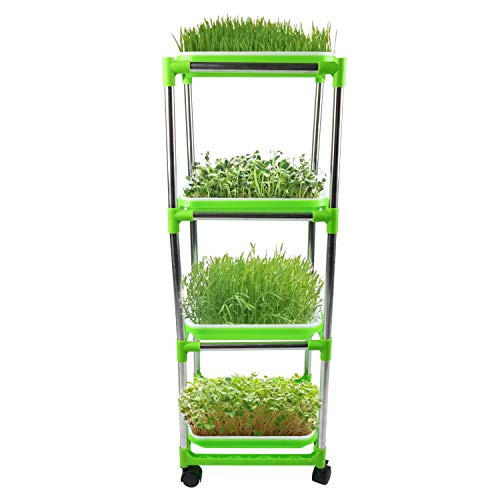 Homend Seed Sprouter Trays with 4 Layers Stainless Steel Shelf Soil-Free Healthy Wheatgrass Seeds Grower & Storage Trays for Garden Home (4 Seed Sprouter Trays with 4 Layers Shelf)