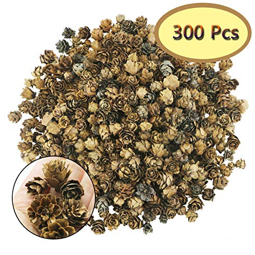 Hslife 300 Pcs Pine Cones for Crafts Mini Brown Pine Cones in Bulk Mini Natural Pinecones Fall Decorations for Home Thanksgiving Christmas Ornaments Hslife 300 Pcs Pine Cones for Crafts Mini Brown Pine Cones in Bulk Mini Natural Pinecones Fall Decorations for Home Thanksgiving Christmas Ornaments