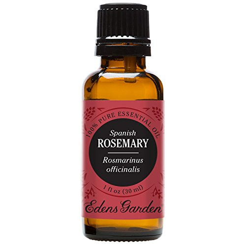 Edens Garden Rosemary Spanish Essential Oil, 100% Pure Therapeutic Grade (Highest Quality Aromatherapy Oils- Cold Flu & Inflammation), 30 ml Edens Garden Rosemary Spanish Essential Oil, 100% Pure Therapeutic Grade (Highest Quality Aromatherapy Oils- Cold Flu & Inflammation), 30 ml