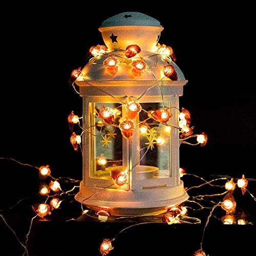 HENMI Electric LED String Lights 40 Waterproof Acorn String Lights with Remote for Bedroom Thanksgiving Decor Christmas Halloween Indoor Outdoor Fall Decor,Fairy String Light