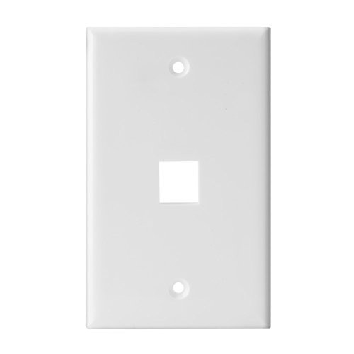 TENINYU Ethernet Wall Plate 1 Port Cat6 RJ45 Wall Plate Keystone Jack 10Pack,(1 Port, White)