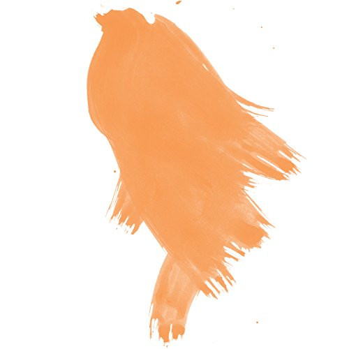 Daler-Rowney FW Acrylic Artists Ink, 1 oz, Flame Orange (160029687)