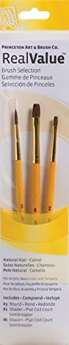 Princeton Art & Brush Real Value Natural Camel Brush Set, Round Size 3, Shader Size 2 and 6