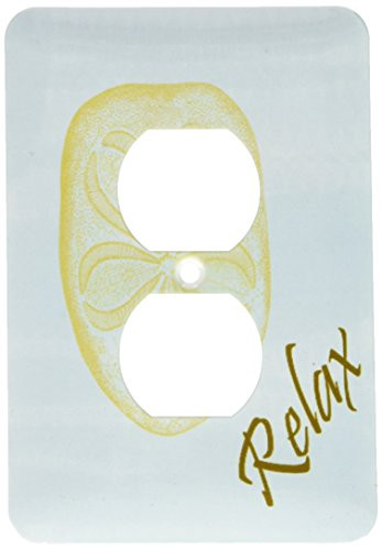 3dRose lsp_63639_6 Relax Sand Dollar Beach Themed Art in Calming Blue Light Switch Cover