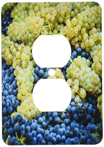 3dRose lsp_208736_6 USA, Washington, Woodinville Wine grapes waiting to be crushed 2 Plug Outlet Cover