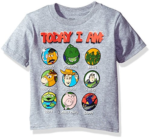Disney Toddler Boys' Toy Story Short Sleeve T-Shirt, Heather Grey, 5T