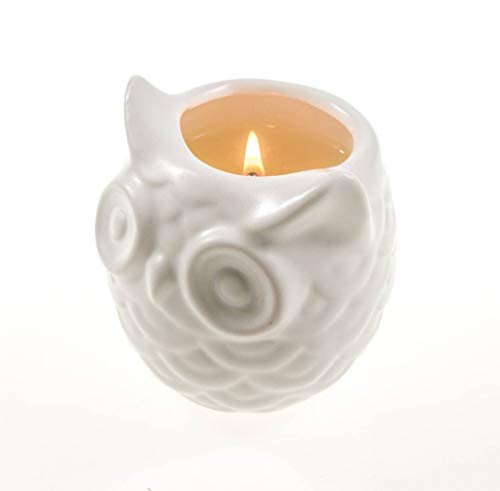 Frespersy Scented Candles Gifts for Women, Aromatherapy Candles, Home Fragrance, Natural Soy Wax with Essential Oil, Stress Relief & Decorative Jar Candles, Owl Ceramic vase, Sakura&Tea Frespersy Scented Candles Gifts for Women, Aromatherapy Candles, Home Fragrance, Natural Soy Wax with Essential Oil, Stress Relief & Decorative Jar Candles, Owl Ceramic vase, Sakura&Tea