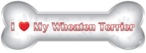 iLeesh i Love My Wheaten Terrier Bone Car Magnet, Reflective Chrome