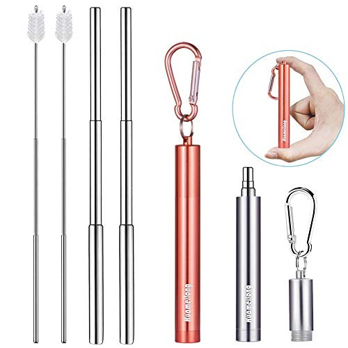 [Updated] 2 Pack Portable Collapsible Reusable Straws - Telescopic Stainless Steel Metal Travel Straw Drinking with Case, Cleaning Brush and Keychain, by Huameilong (Rose and Sliver)