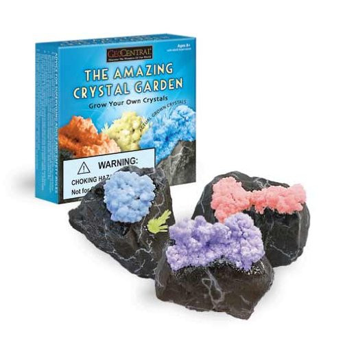 Amazing Crystal Garden Kit by GeoCentral