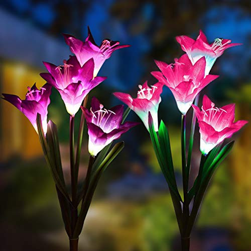 Solar Garden Outdoor Lights, 2Packs Solar Flower Lights Outdoor Color Changing Decorative Landscape Lawn Yard Stake Patio Lily Lights Solar Powered (Pink & Purple) Solar Garden Outdoor Lights, 2Packs Solar Flower Lights Outdoor Color Changing Decorative Landscape Lawn Yard Stake Patio Lily Lights Solar Powered (Pink & Purple)
