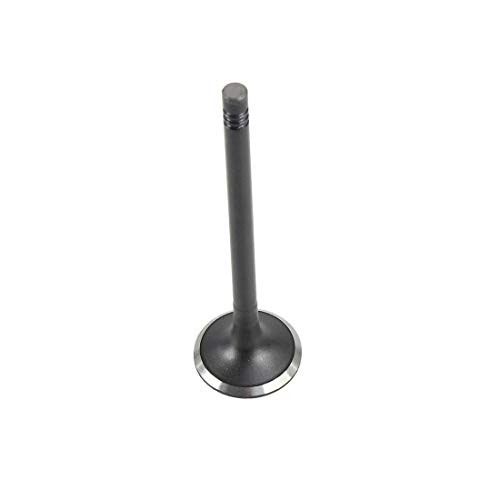 DNJ EV802 Exhaust Valve for 2005-2015 / Audi, Volkswagen / A3, A3 Quattro, A4, A4 Quattro, A5, A5 Quattro, A6, A6 Quattro, Beetle / 2.0L-4.2L / DOHC /16V, 20V, 32V / BAR, BPG, BPY, BWT, CAEB, CBFA DNJ EV802 Exhaust Valve for 2005-2015 / Audi, Volkswagen / A3, A3 Quattro, A4, A4 Quattro, A5, A5 Quattro, A6, A6 Quattro, Beetle / 2.0L-4.2L / DOHC /16V, 20V, 32V / BAR, BPG, BPY, BWT, CAEB, CBFA