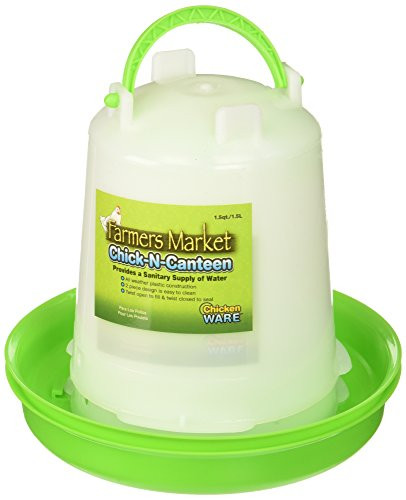 (2 Pack) Ware Farmers Market Chick-N-Canteen Bird Feeder, Size Small / 1.5 Quart Capacityl