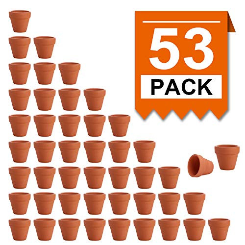 BLQH [53 Pack 2" Small Mini Clay Pots Planter Nursery Pots Terracotta Pot Clay Ceramic Pottery Cactus Flower Pots Lawn & Garden Terra Cotta Pots Succulent Nursery Pots with Drainage Hole (53) BLQH [53 Pack 2" Small Mini Clay Pots Planter Nursery Pots Terracotta Pot Clay Ceramic Pottery Cactus Flower Pots Lawn & Garden Terra Cotta Pots Succulent Nursery Pots with Drainage Hole (53)