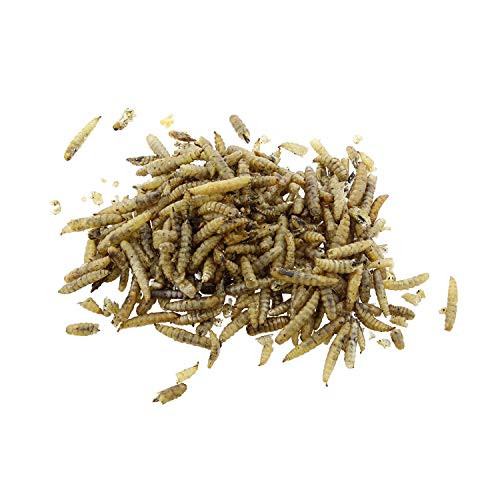 Rural365 Dried Black Soldier Fly Larvae Chicken Feed - 5 Pounds Protein-Filled BSFL Large Dry Worms for Chickens