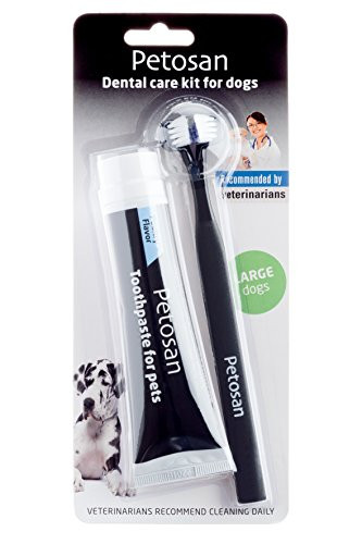 Petosan Pet Dental Kit, Double Headed Toothbrush and Toothpaste, Large (Pet 35 lbs+)