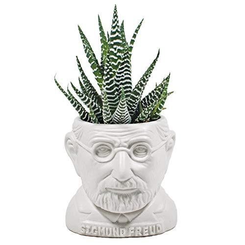 The Unemployed Philosophers Guild Sigmund Freud Bust Succulent Planter - Plant Holder Pot for Small Cactus, Flowers, Herbs, and More