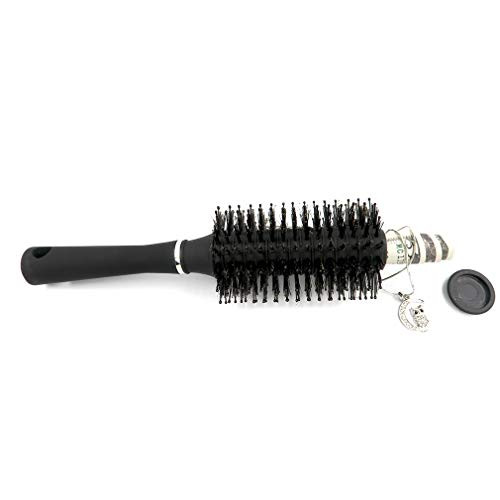 Evelots Secret Safe/Diversion Hair Brush-Hide Money/Jewelry/Valuable-Travel/Home