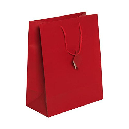 JAM PAPER Gift Bags with Rope Handles - Large - 10 x 13 x 5 - Red Matte - 3/Pack