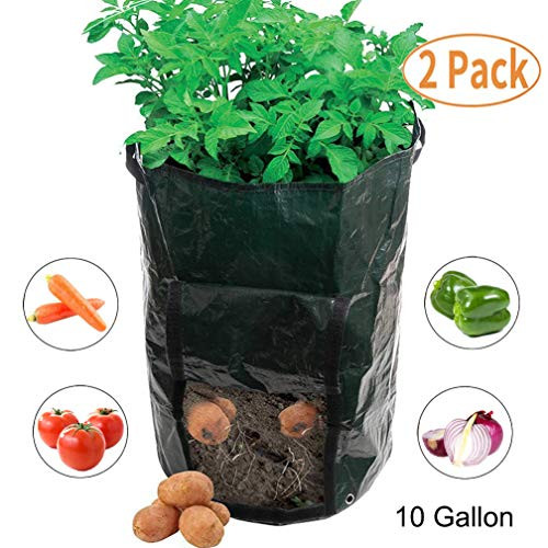 Amgate 2 Pack 10 Gallon Garden Potato Grow Bag Vegetables Growing Planter Tub with Handle Access Flap for Harvesting Vegetables: Potato, Carrot, Tomato, Onion Amgate 2 Pack 10 Gallon Garden Potato Grow Bag Vegetables Growing Planter Tub with Handle Access Flap for Harvesting Vegetables: Potato, Carrot, Tomato, Onion