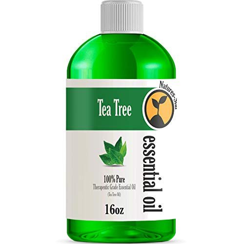 16oz - Bulk Size Tea Tree Essential Oil (16 Ounce Bottle) - Therapeutic Grade Essential Oil - 16 Fl Oz
