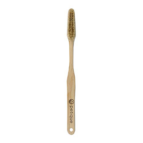 PETIQUE Eco Bamboo Toothbrush for Large Pets, Natural, One Size (TB01000006)