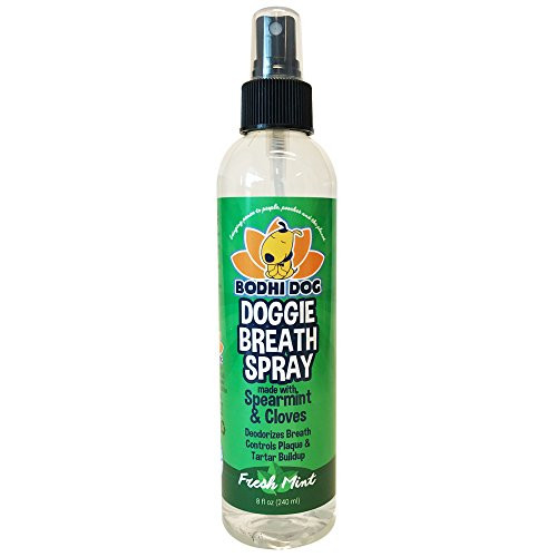Bodhi Dog Large Natural Dog Breath Freshener for Dogs Teeth and Healthy Gums | Best for Tartar Cleaning, Plaque Remover & a Fresh Dental Oral Care Cleaner Bodhi Dog Large Natural Dog Breath Freshener for Dogs Teeth and Healthy Gums | Best for Tartar Cleaning, Plaque Remover & a Fresh Dental Oral Care Cleaner