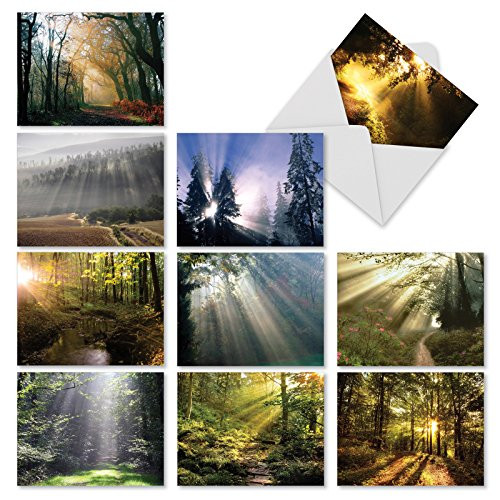 Beautiful Assorted Landscape Note Cards (Box of 10) All Occasion Blank Greeting Card w/Envelopes -"Shining Through" Sun Photograph Notecards for Holidays, Thank You, Congrats (4 x 5.12 in) M1735BN