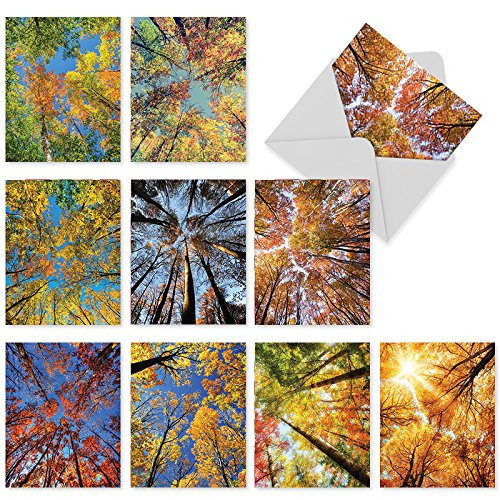 10 Assorted Blank All-Occasion Greeting Cards with Envelopes - Blank Note Cards 4 x 5.12 inch Featuring Ground View of Autumn Treetops for All Occasions M2006sl - NobleWorks