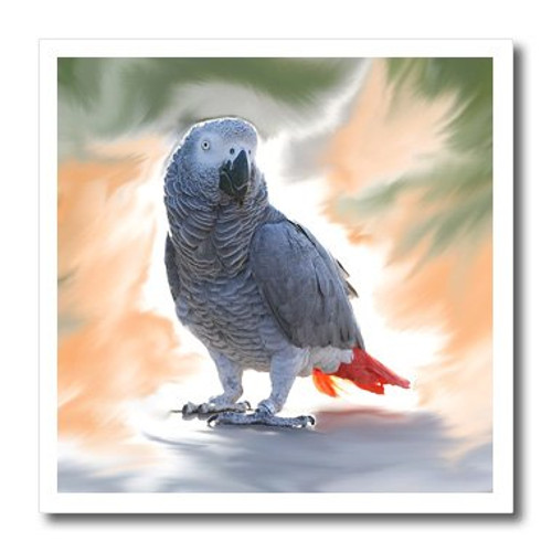 3dRose ht_4030_1 African Grey Parrot-Iron on Heat Transfer Paper for White Material, 8 by 8-Inch 3dRose ht_4030_1 African Grey Parrot-Iron on Heat Transfer Paper for White Material, 8 by 8-Inch