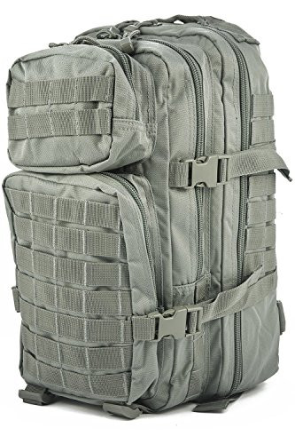 Mil-Tec Military Army Patrol Molle Assault Pack Tactical Combat Rucksack Backpack (20 Liter, Foliage Green)