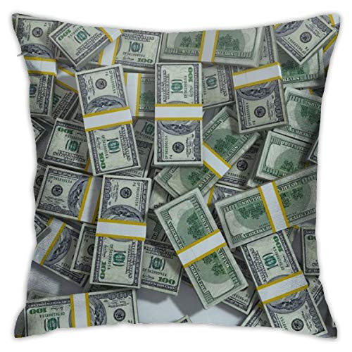 FEAIYEA Money Dollar Throw Cushion Cover Throw Pillow Cover Square New Living Series Decorative Throw Pillow Case Double Side Design 18" X 18" Family Indoor Sofa Car