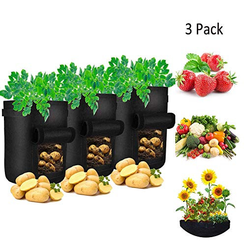 Joykoo 3 Pack Potato Grow Bags, 7 Gallon Velcro Window Vegetable Fabric Plant Pots with Window Plant Grow Bags Aeration Fabric Pots with Handles for Potatoes Tomatoes Carrot Onion (3 Pack-Black) Joykoo 3 Pack Potato Grow Bags, 7 Gallon Velcro Window Vegetable Fabric Plant Pots with Window Plant Grow Bags Aeration Fabric Pots with Handles for Potatoes Tomatoes Carrot Onion (3 Pack-Black)