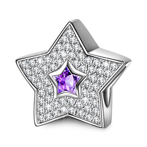 NinaQueen "Star Pave" 925 Sterling Silver Purple Bead Charms for Bracelet Necklace Jewelry Christmas Gifts For Women Birthday Anniversary Gifts For Her Teen Girls Wife Mom Daughter NinaQueen "Star Pave" 925 Sterling Silver Purple Bead Charms for Bracelet Necklace Jewelry Christmas Gifts For Women Birthday Anniversary Gifts For Her Teen Girls Wife Mom Daughter