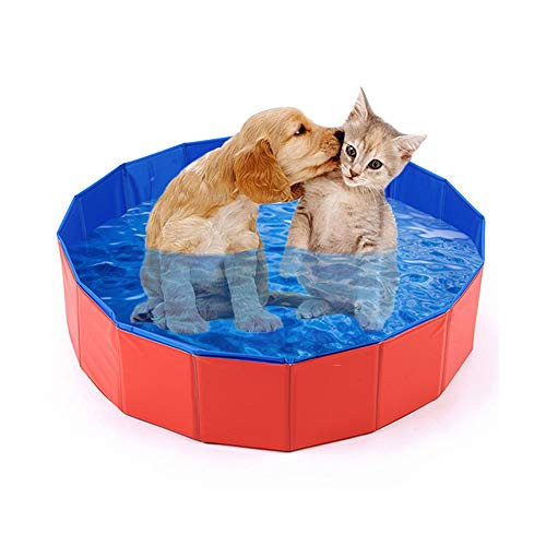 mcgrady1xm Collapsible Pet Dog Bath Pool, Kiddie Pool Hard Plastic Foldable Bathing Tub PVC Outdoor Pools for Dogs Cat Kid (8020cm)