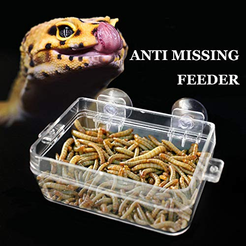 BWOGUE Suction Cup Gecko Feeder Anti-Escape Dish Reptiles Ledge Accessories for Chameleon Iguana Lizard Reptile Food and Water Feeding BWOGUE Suction Cup Gecko Feeder Anti-Escape Dish Reptiles Ledge Accessories for Chameleon Iguana Lizard Reptile Food and Water Feeding