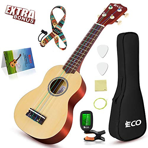 Soprano Ukulele Beginner Kit - 21 Inch w/How to play Songbook Carrying bag Digital Tuner All in One Set