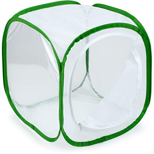 RESTCLOUD Insect and Butterfly Habitat Cage Terrarium Pop-up 12 x 12 x 12 Inches (White)