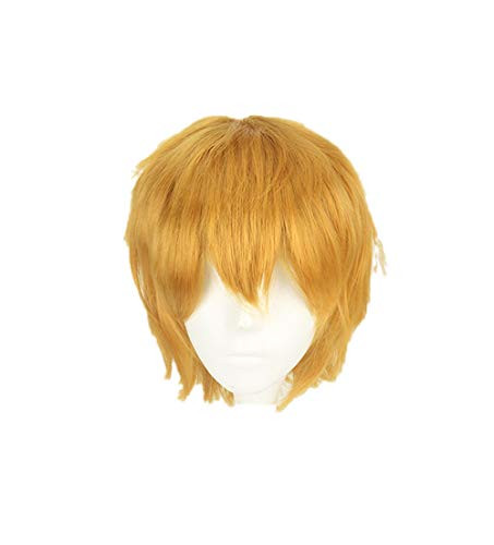 Kou Minamoto Wig,Toilet-bound Hanako-kun Cosplay Hanako-kun Black Wig for Boys