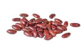 Bush Bean Red Kidney Bean Seeds - Organic Bush Beans