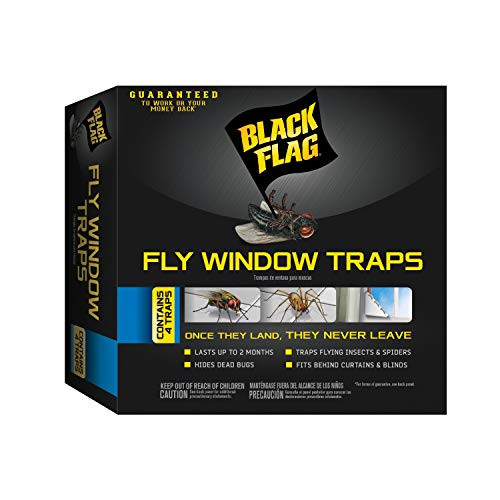 Black Flag 11017 HG-11017 Fly Window Trap, 4-count