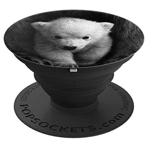 Animal Gift - Polar Bear Cub PopSockets Grip and Stand for Phones and Tablets