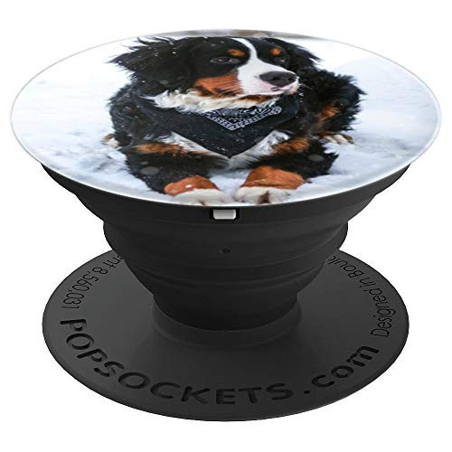 Bernese Mountain Dog PopSockets Grip and Stand for Phones and Tablets