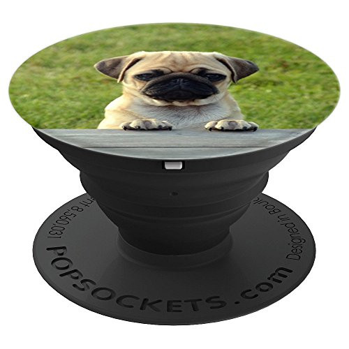 Pug puppy PopSockets Grip and Stand for Phones and Tablets Pug puppy PopSockets Grip and Stand for Phones and Tablets