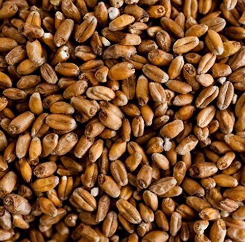Briess White Wheat Malt Home Brewing Malt Whole Grain 1lb Bag Briess White Wheat Malt Home Brewing Malt Whole Grain 1lb Bag