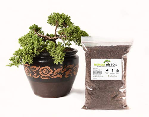 Bonsai Soil by Perfect Plants - 2 Quarts Mix for Bonsai Trees of All Types - Nutrient Boost for Containerized Plants 