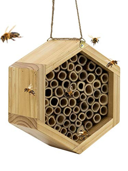 Mason Bee House - Handmade Natural Bamboo Bee Hive - Attracts Peaceful Bee Pollinators to Enhance Your Garden's Productivity Mason Bee House - Handmade Natural Bamboo Bee Hive - Attracts Peaceful Bee Pollinators to Enhance Your Garden's Productivity