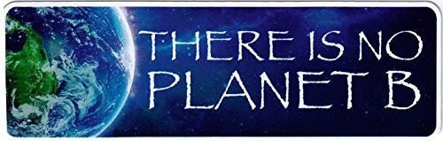 There is No Planet B - Climate Change Bumper Sticker/Decal (9" X 2.5")