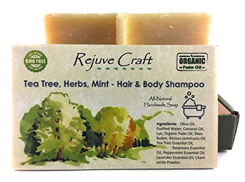 Rejuve Craft Hair and Body Shampoo 2 pack Tea Tree Mint